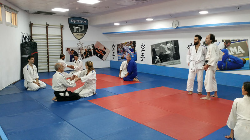 דוגמא לשיעור אייקידו טיפוסי